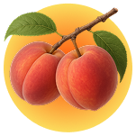 Peach illustration